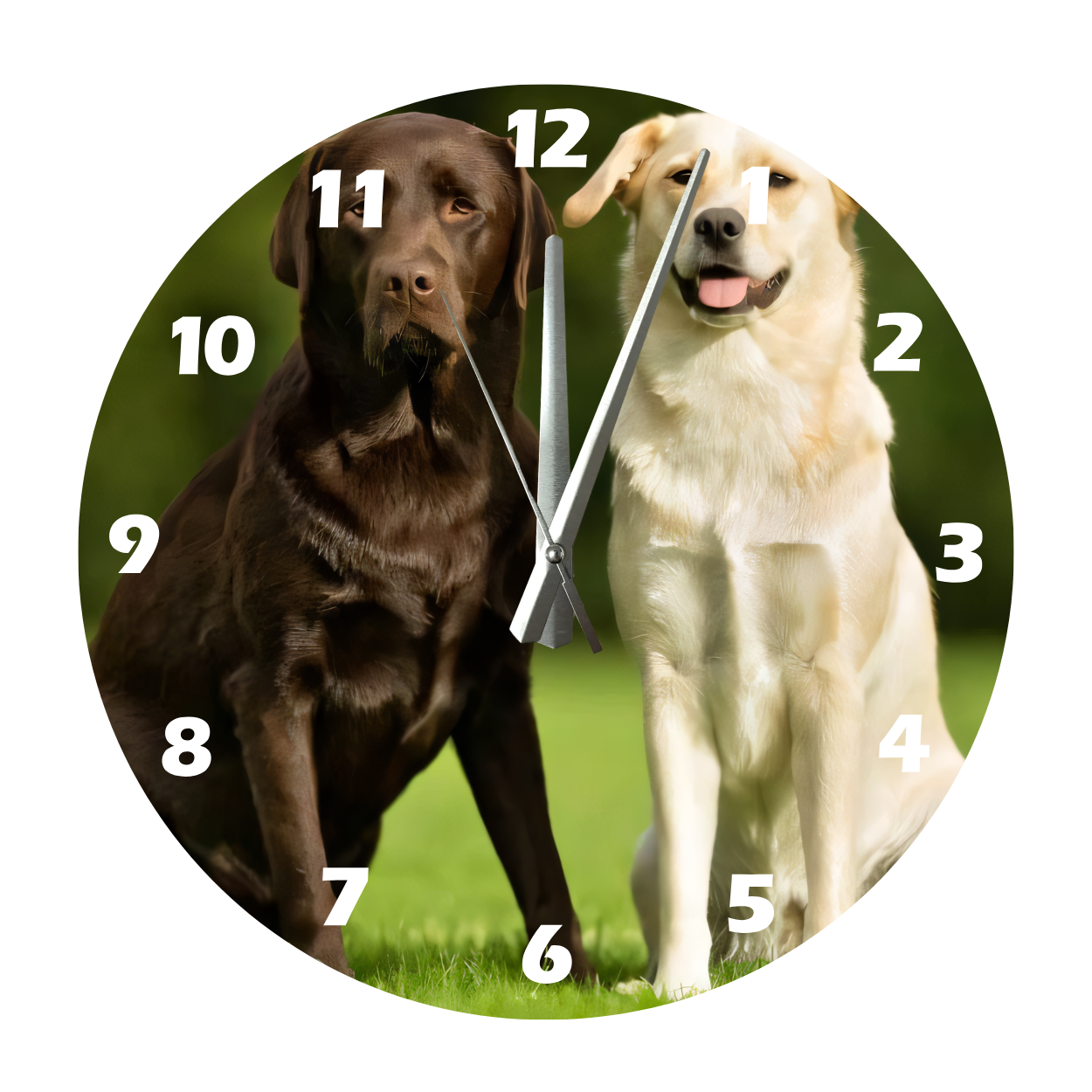 Tİ-PLAY LABRADOR 30X30CM AKRİLİK DEKORATİF MODERN DUVAR SAATİ