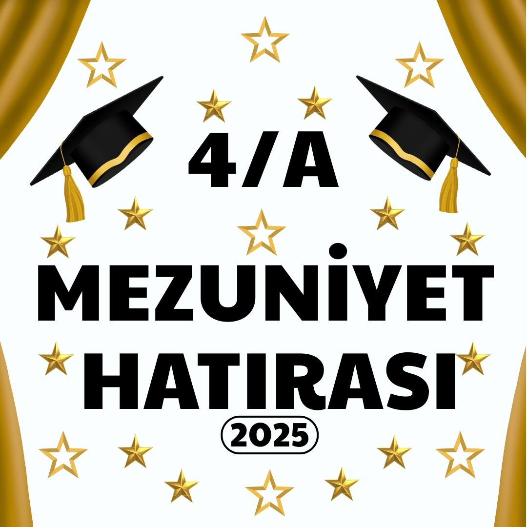 MEZUNİYET HATIRASI GLD PANO SÜSÜ
