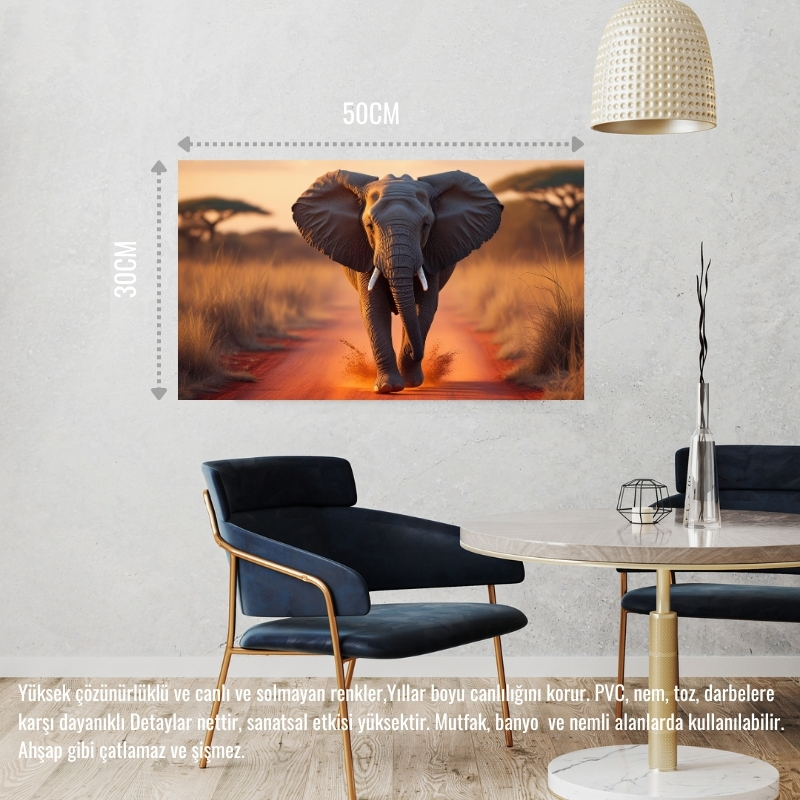 VAHŞİ DOĞADA KOŞAN FİL 02 ÇERÇEVESİZ 50X30 CM PVC TABLO