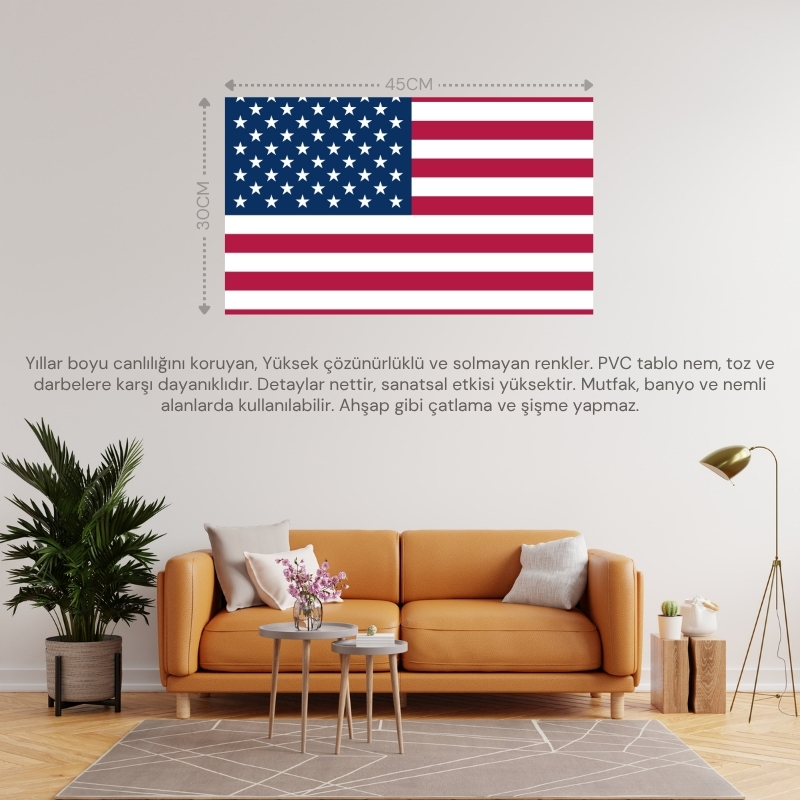AMERİKA ÜLKE BAYRAĞI 45x30CM DUVAR TABLOSU ÇERÇEVESİZ PVC TABLO