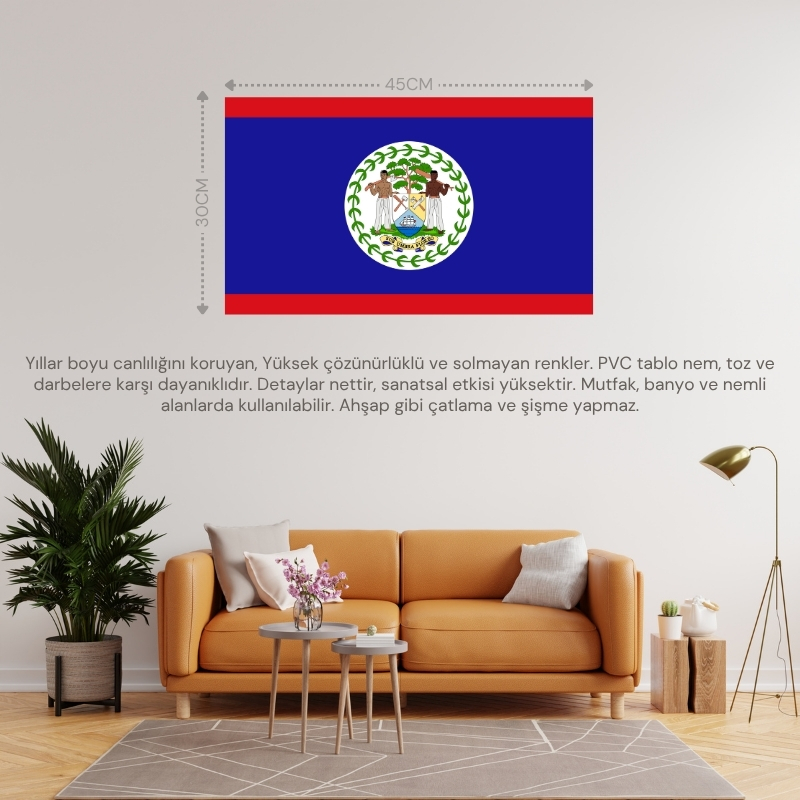 BELİZE ÜLKE BAYRAĞI 45x30CM DUVAR TABLOSU ÇERÇEVESİZ PVC TABLO