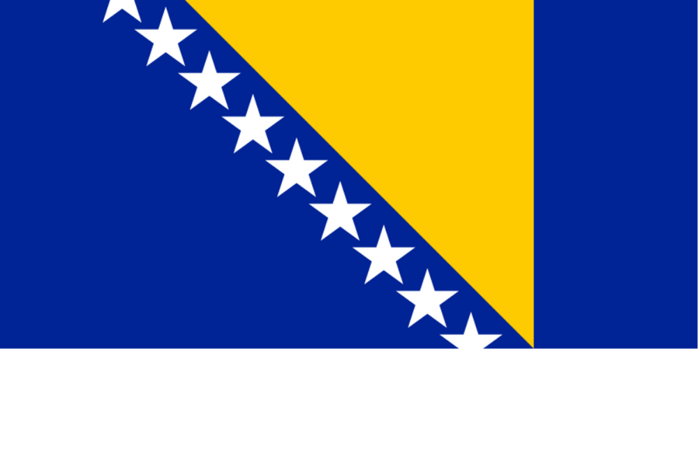 BOSNA HERSEK ÜLKE BAYRAĞI 45x22CM DUVAR TABLOSU ÇERÇEVESİZ PVC TABLO