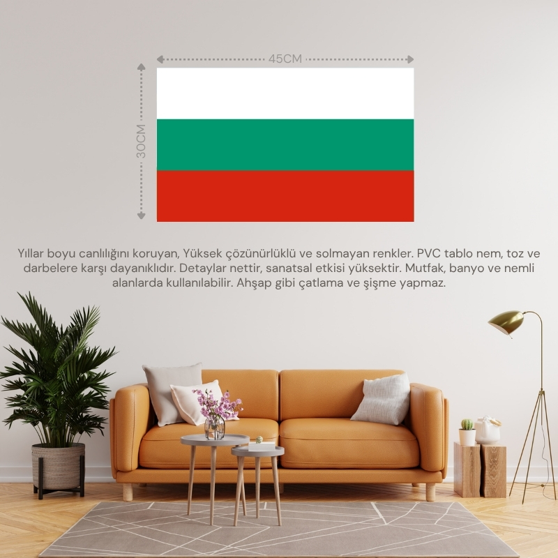 BULGARİSTAN ÜLKE BAYRAĞI 45x30CM DUVAR TABLOSU ÇERÇEVESİZ PVC TABLO