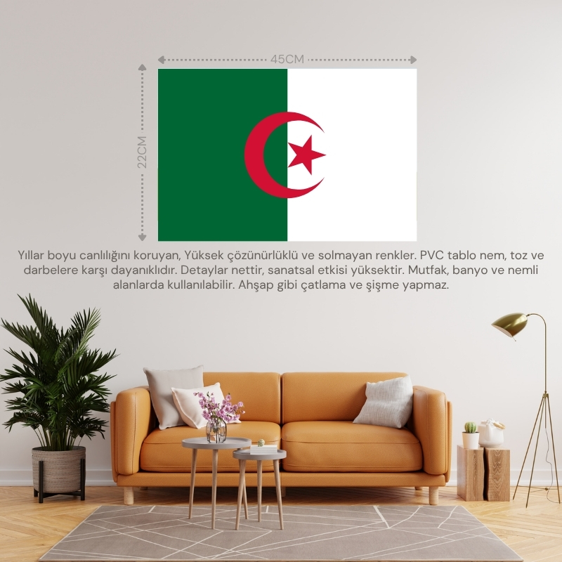 CEZAYİR ÜLKE BAYRAĞI 45x30CM DUVAR TABLOSU ÇERÇEVESİZ PVC TABLO