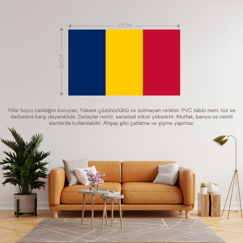 ÇAD ÜLKE BAYRAĞI 45x30CM DUVAR TABLOSU ÇERÇEVESİZ PVC TABLO