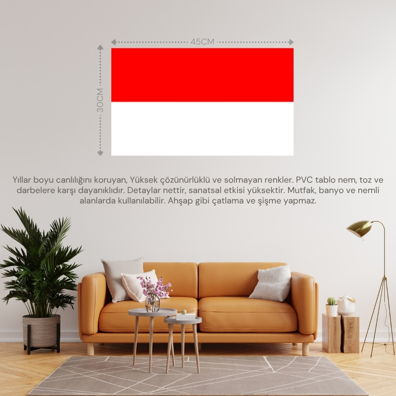 ENDONEZYA ÜLKE BAYRAĞI 45x30CM DUVAR TABLOSU ÇERÇEVESİZ PVC TABLO ENDONEZYA ÜLKE BAYRAĞI 45x30CM DUVAR TABLOSU ÇERÇEVESİZ PVC TABLO