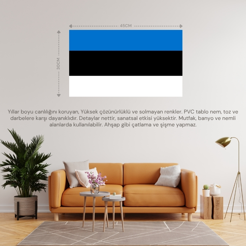 ESTONYA ÜLKE BAYRAĞI 45x30CM DUVAR TABLOSU ÇERÇEVESİZ PVC TABLO ESTONYA ÜLKE BAYRAĞI 45x30CM DUVAR TABLOSU ÇERÇEVESİZ PVC TABLO