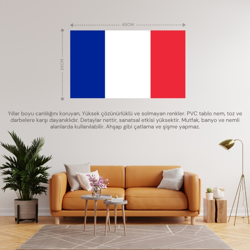 FRANSA ÜLKE BAYRAĞI 45x24CM DUVAR TABLOSU ÇERÇEVESİZ PVC TABLO FRANSA ÜLKE BAYRAĞI 45x24CM DUVAR TABLOSU ÇERÇEVESİZ PVC TABLO