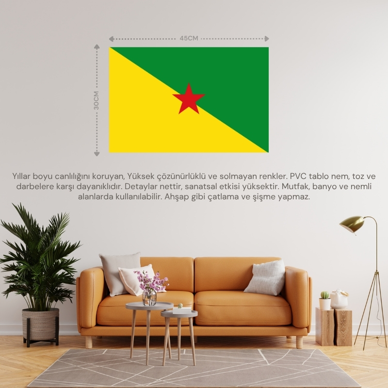 FRANSIZ GUYANASI ÜLKE BAYRAĞI 45x30CM DUVAR TABLOSU ÇERÇEVESİZ PVC TABLO FRANSIZ GUYANASI ÜLKE BAYRAĞI 45x30CM DUVAR TABLOSU ÇERÇEVESİZ PVC TABLO