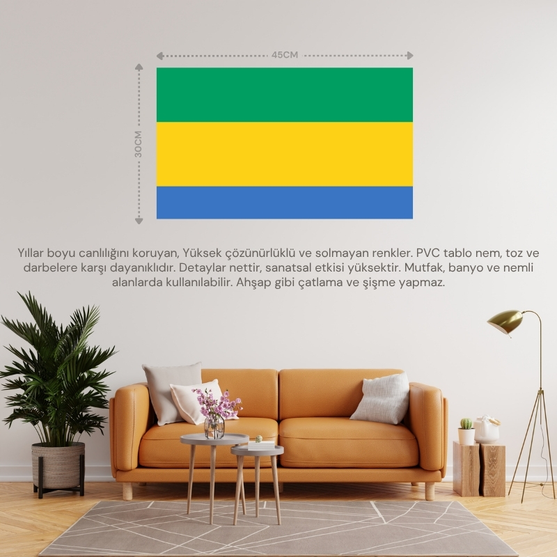 GABON ÜLKE BAYRAĞI 45x30CM DUVAR TABLOSU ÇERÇEVESİZ PVC TABLO GABON ÜLKE BAYRAĞI 45x30CM DUVAR TABLOSU ÇERÇEVESİZ PVC TABLO