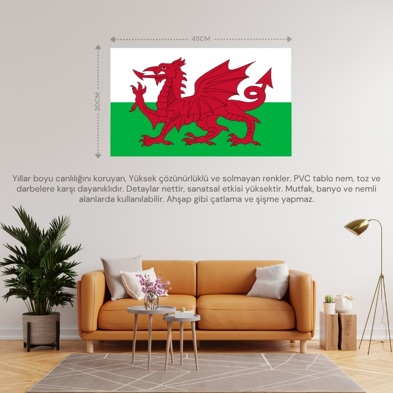 GALLER ÜLKE BAYRAĞI 45x27CM DUVAR TABLOSU ÇERÇEVESİZ PVC TABLO