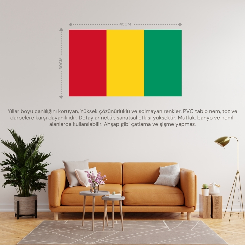 GİNE ÜLKE BAYRAĞI 45x30CM DUVAR TABLOSU ÇERÇEVESİZ PVC TABLO