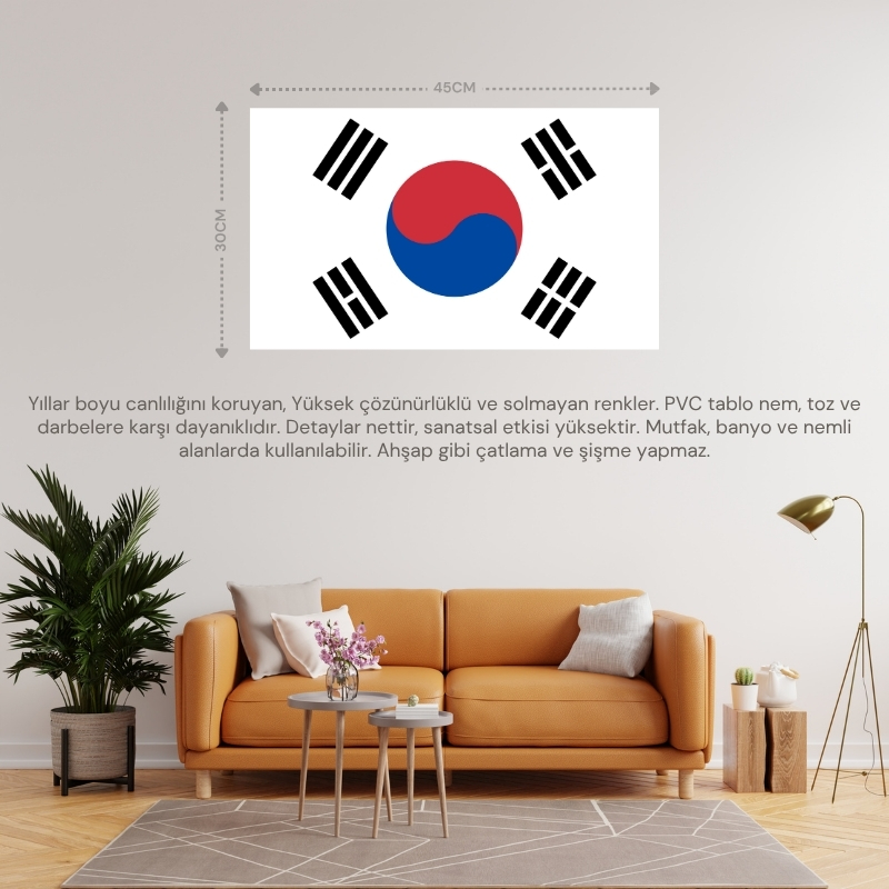 GÜNEY KORE ÜLKE BAYRAĞI 45x30CM DUVAR TABLOSU ÇERÇEVESİZ PVC TABLO GÜNEY KORE ÜLKE BAYRAĞI 45x30CM DUVAR TABLOSU ÇERÇEVESİZ PVC TABLO