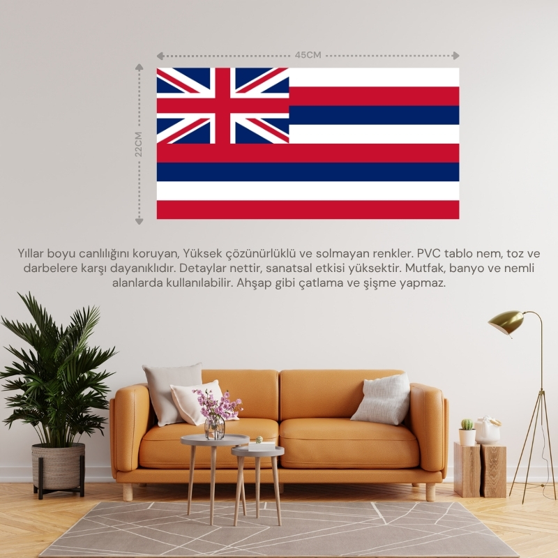 HAVAİ ADALARI ÜLKE BAYRAĞI 45x22CM DUVAR TABLOSU ÇERÇEVESİZ PVC TABLO