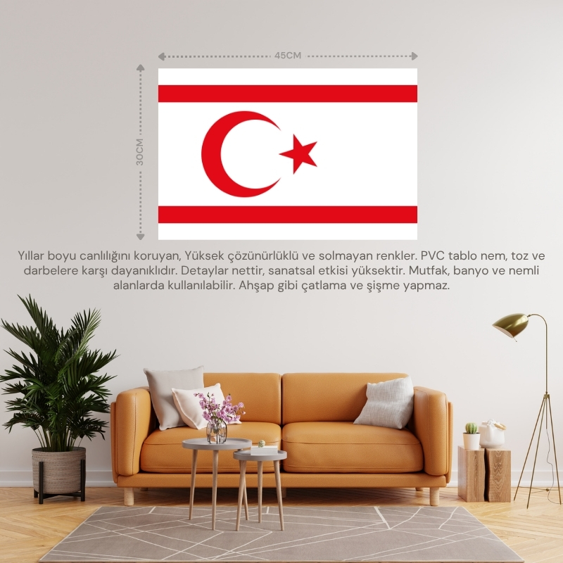 K.K.T.C. ÜLKE BAYRAĞI 45x30CM DUVAR TABLOSU ÇERÇEVESİZ PVC TABLO K.K.T.C. ÜLKE BAYRAĞI 45x30CM DUVAR TABLOSU ÇERÇEVESİZ PVC TABLO