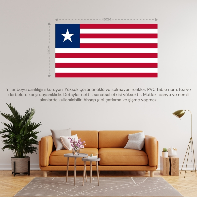 LİBERYA ÜLKE BAYRAĞI 45x22CM DUVAR TABLOSU ÇERÇEVESİZ PVC TABLO LİBERYA ÜLKE BAYRAĞI 45x22CM DUVAR TABLOSU ÇERÇEVESİZ PVC TABLO