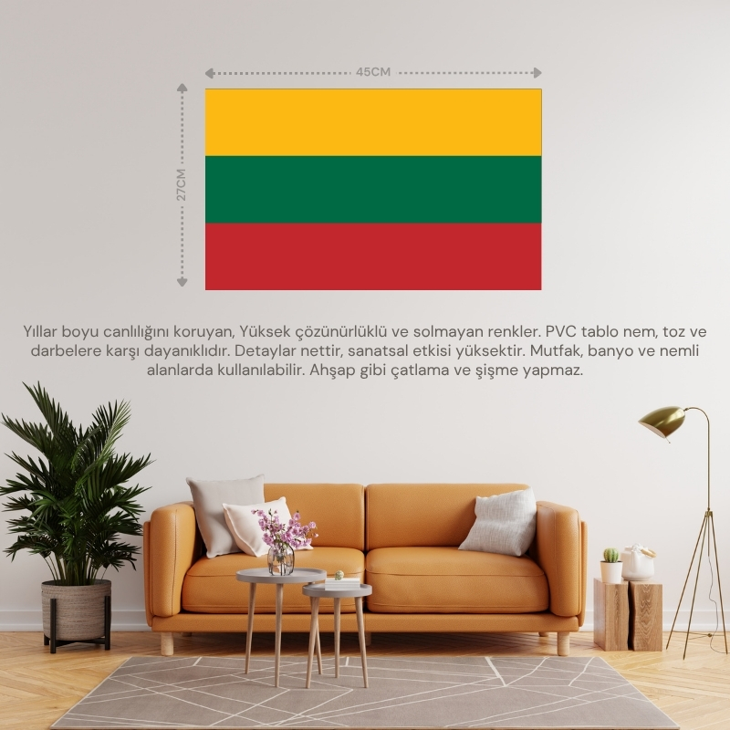 LİTVANYA ÜLKE BAYRAĞI 45x27CM DUVAR TABLOSU ÇERÇEVESİZ PVC TABLO LİTVANYA ÜLKE BAYRAĞI 45x27CM DUVAR TABLOSU ÇERÇEVESİZ PVC TABLO