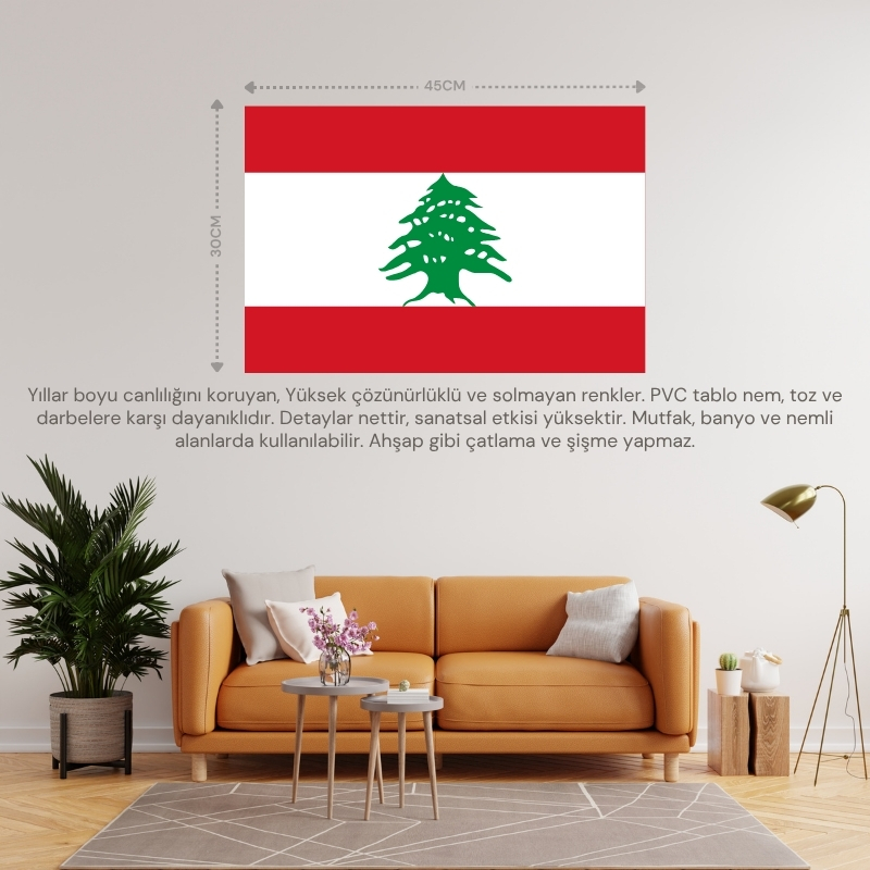 LÜBNAN ÜLKE BAYRAĞI 45x30CM DUVAR TABLOSU ÇERÇEVESİZ PVC TABLO LÜBNAN ÜLKE BAYRAĞI 45x30CM DUVAR TABLOSU ÇERÇEVESİZ PVC TABLO