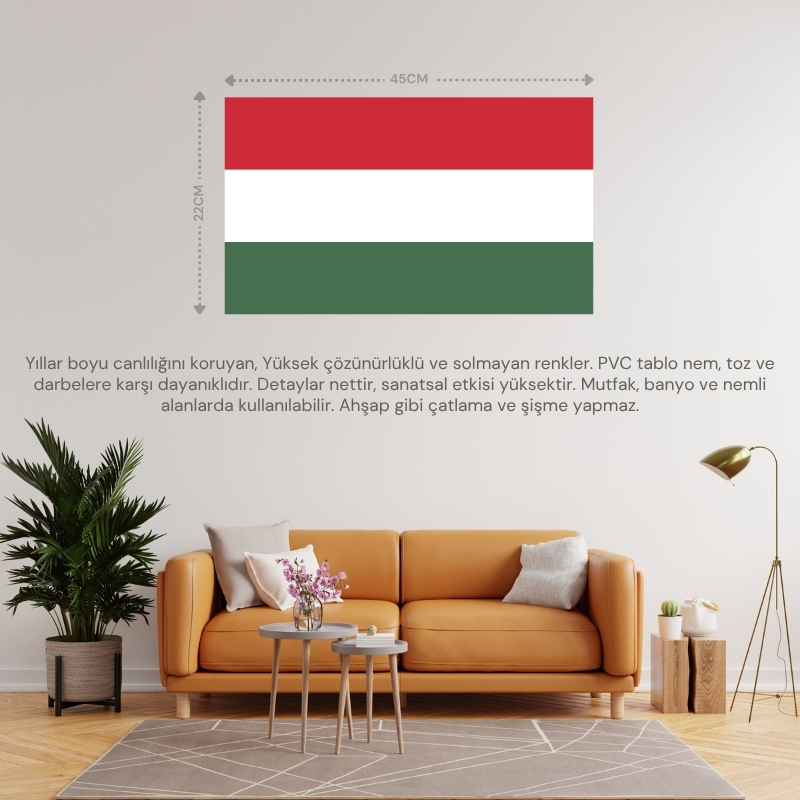 MACARİSTAN ÜLKE BAYRAĞI 45x22CM DUVAR TABLOSU ÇERÇEVESİZ PVC TABLO MACARİSTAN ÜLKE BAYRAĞI 45x22CM DUVAR TABLOSU ÇERÇEVESİZ PVC TABLO