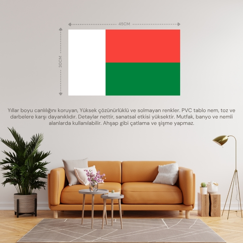 MADAGASKAR ÜLKE BAYRAĞI 45x30CM DUVAR TABLOSU ÇERÇEVESİZ PVC TABLO MADAGASKAR ÜLKE BAYRAĞI 45x30CM DUVAR TABLOSU ÇERÇEVESİZ PVC TABLO
