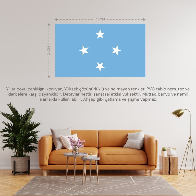 MİKRONEZYA ÜLKE BAYRAĞI 45x24CM DUVAR TABLOSU ÇERÇEVESİZ PVC TABLO MİKRONEZYA ÜLKE BAYRAĞI 45x24CM DUVAR TABLOSU ÇERÇEVESİZ PVC TABLO