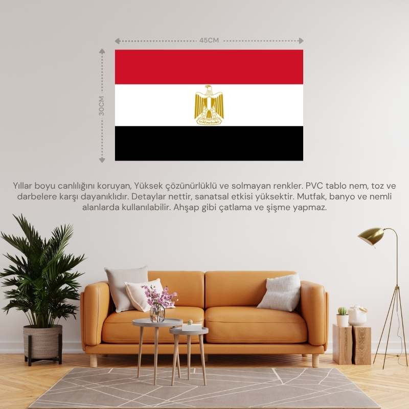 MISIR ÜLKE BAYRAĞI 45x30CM DUVAR TABLOSU ÇERÇEVESİZ PVC TABLO