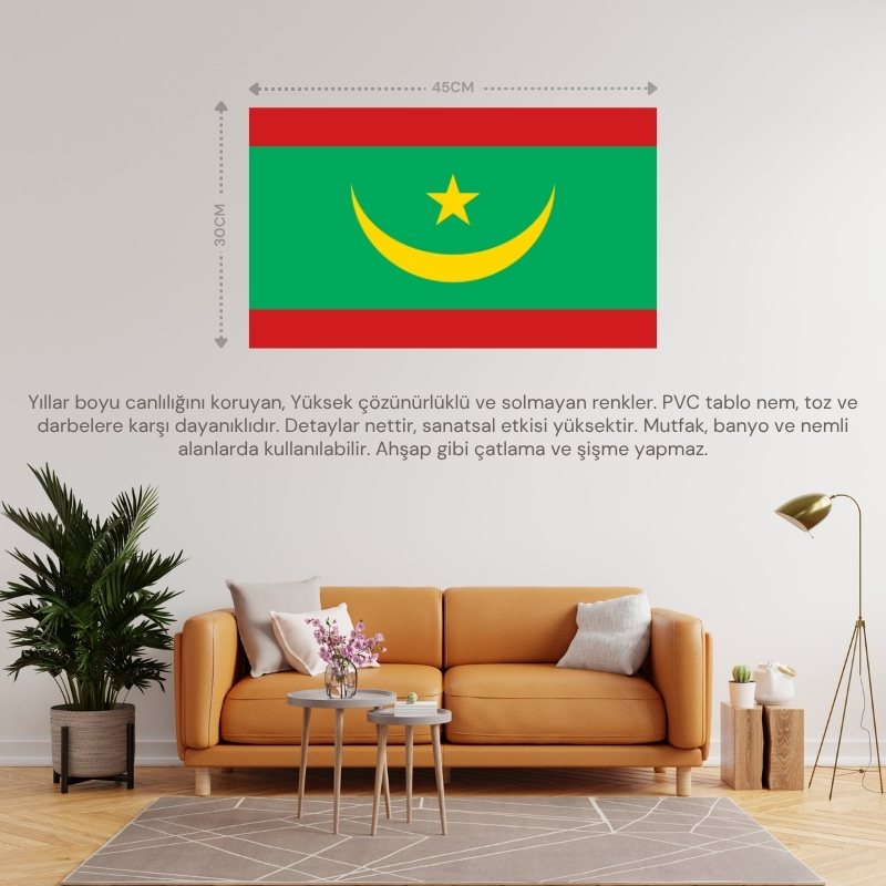 MORİTANYA ÜLKE BAYRAĞI 45x30CM DUVAR TABLOSU ÇERÇEVESİZ PVC TABLO