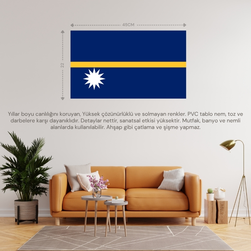 NAURU ÜLKE BAYRAĞI 45x22CM DUVAR TABLOSU ÇERÇEVESİZ PVC TABLO NAURU ÜLKE BAYRAĞI 45x22CM DUVAR TABLOSU ÇERÇEVESİZ PVC TABLO