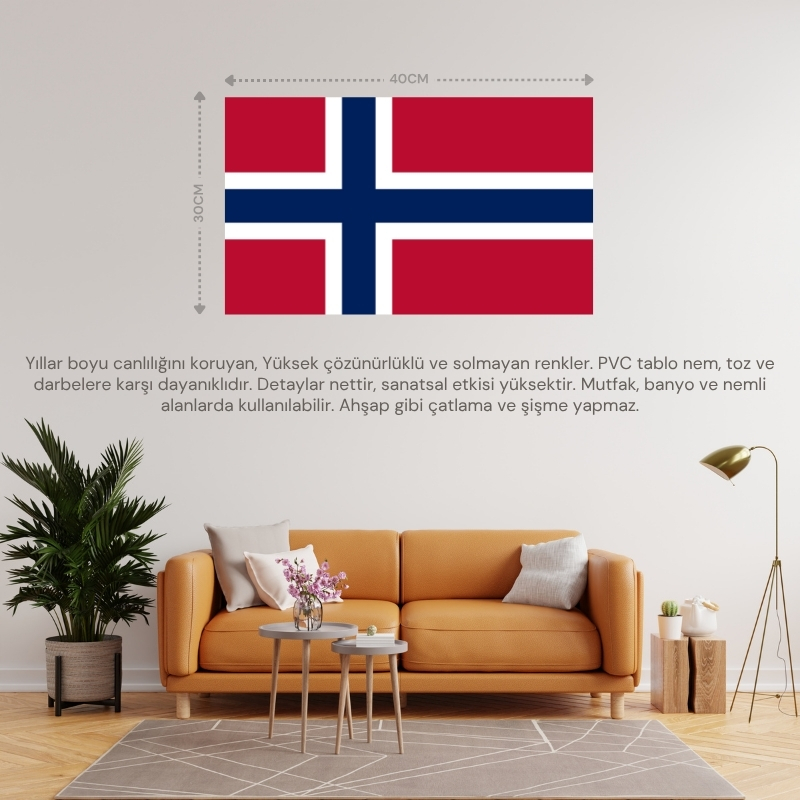 NORVEÇ ÜLKE BAYRAĞI 40x30CM DUVAR TABLOSU ÇERÇEVESİZ PVC TABLO