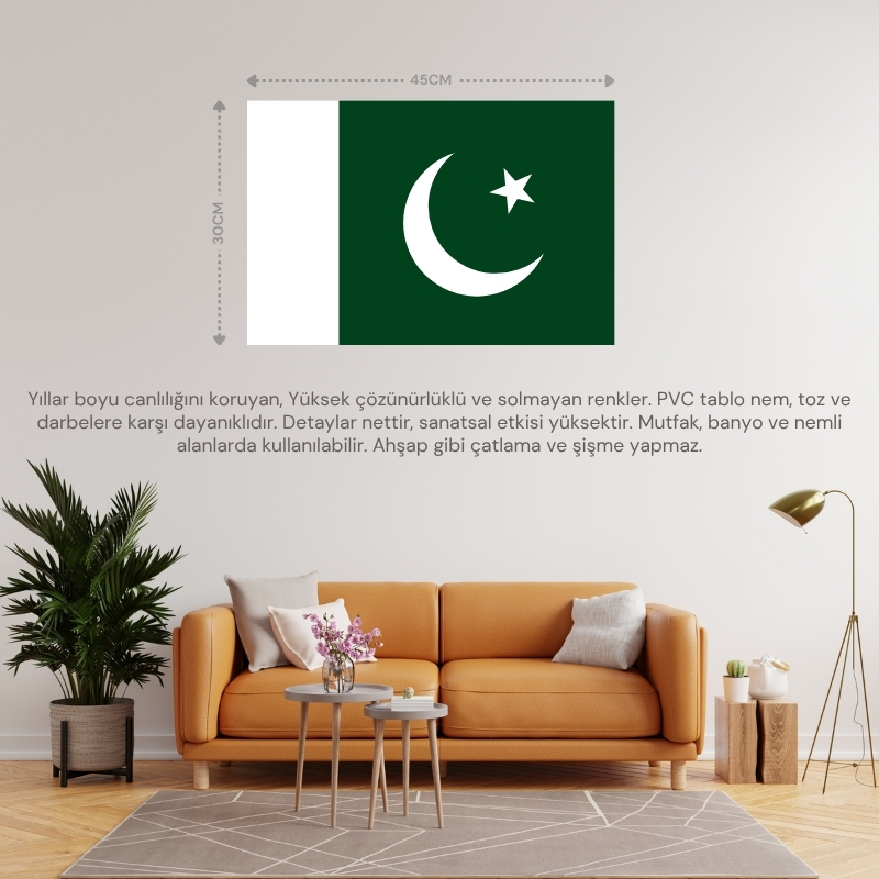 PAKİSTAN ÜLKE BAYRAĞI 45x30CM DUVAR TABLOSU ÇERÇEVESİZ PVC TABLO