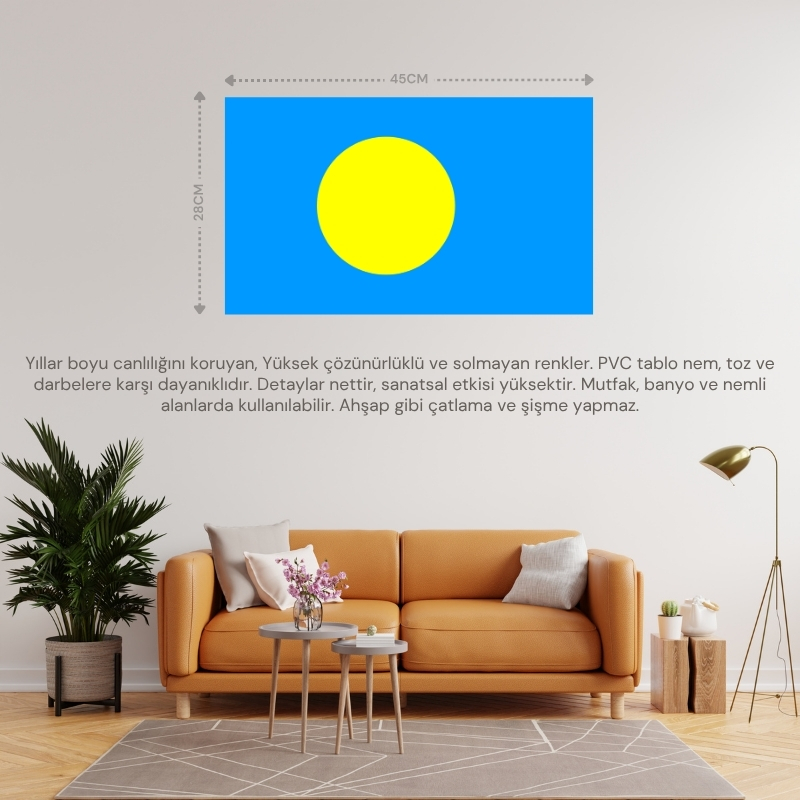 PALAU ADALARI ÜLKE BAYRAĞI 45x28CM DUVAR TABLOSU ÇERÇEVESİZ PVC TABLO PALAU ADALARI ÜLKE BAYRAĞI 45x28CM DUVAR TABLOSU ÇERÇEVESİZ PVC TABLO