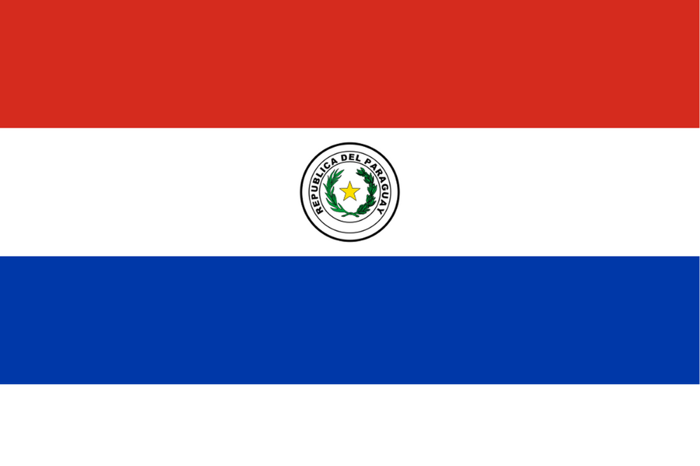 PARAGUAY ÜLKE BAYRAĞI 45x25CM DUVAR TABLOSU ÇERÇEVESİZ PVC TABLO