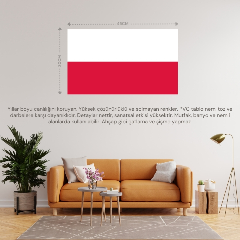 POLONYA ÜLKE BAYRAĞI 45x28CM DUVAR TABLOSU ÇERÇEVESİZ PVC TABLO POLONYA ÜLKE BAYRAĞI 45x28CM DUVAR TABLOSU ÇERÇEVESİZ PVC TABLO