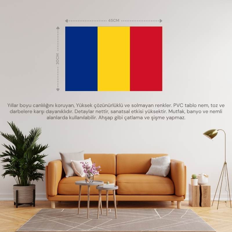 ROMANYA ÜLKE BAYRAĞI 45x30CM DUVAR TABLOSU ÇERÇEVESİZ PVC TABLO