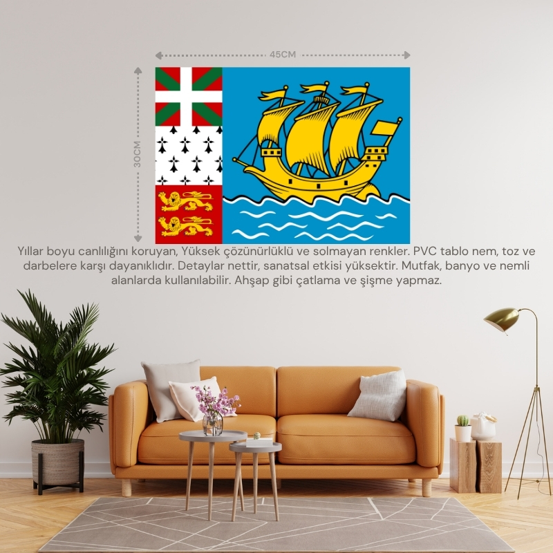 SAİNT PİERRE VE MİQUELON ÜLKE BAYRAĞI 45x30CM DUVAR TABLOSU ÇERÇEVESİZ PVC TABLO