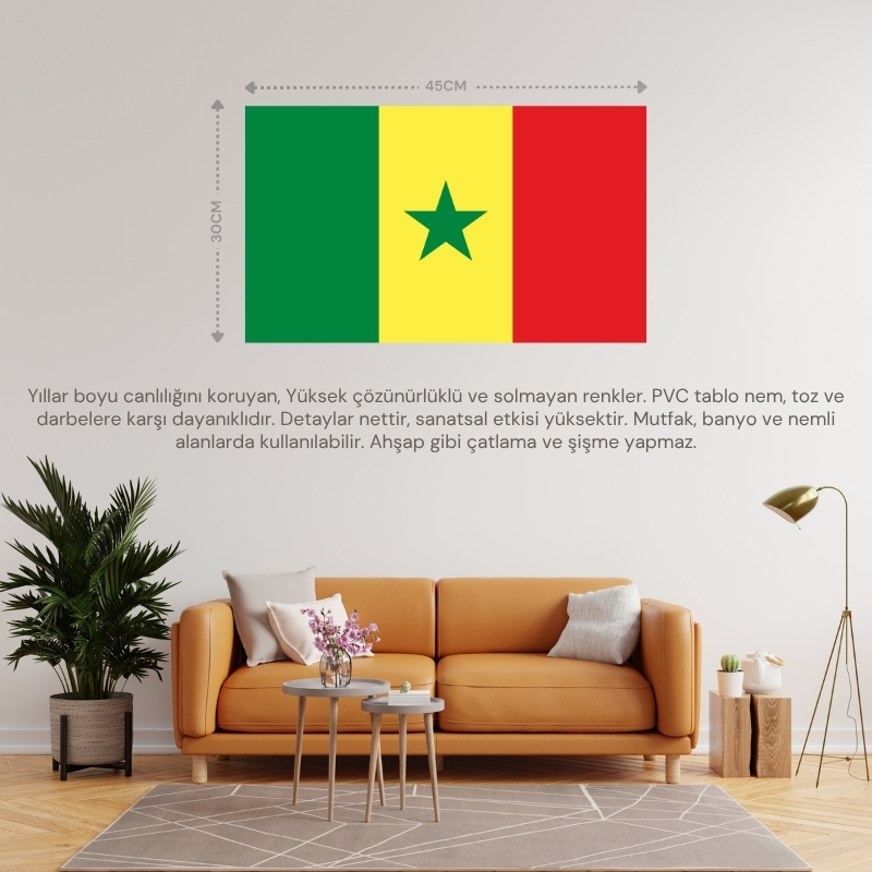 SENEGAL ÜLKE BAYRAĞI 45x30CM DUVAR TABLOSU ÇERÇEVESİZ PVC TABLO SENEGAL ÜLKE BAYRAĞI 45x30CM DUVAR TABLOSU ÇERÇEVESİZ PVC TABLO