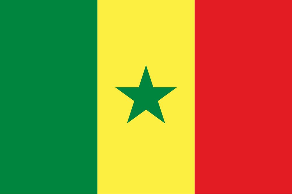 SENEGAL ÜLKE BAYRAĞI 45x30CM DUVAR TABLOSU ÇERÇEVESİZ PVC TABLO