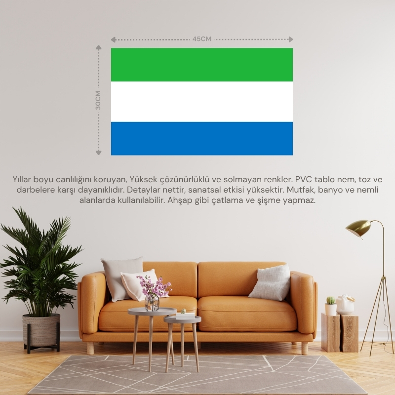 SİERRA LEONE ÜLKE BAYRAĞI 45x30CM DUVAR TABLOSU ÇERÇEVESİZ PVC TABLO SİERRA LEONE ÜLKE BAYRAĞI 45x30CM DUVAR TABLOSU ÇERÇEVESİZ PVC TABLO