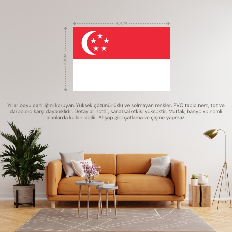SİNGAPUR ÜLKE BAYRAĞI 45x30CM DUVAR TABLOSU ÇERÇEVESİZ PVC TABLO SİNGAPUR ÜLKE BAYRAĞI 45x30CM DUVAR TABLOSU ÇERÇEVESİZ PVC TABLO