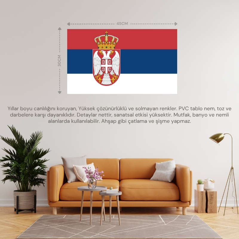 SIRBİSTAN ÜLKE BAYRAĞI 45x30CM DUVAR TABLOSU ÇERÇEVESİZ PVC TABLO