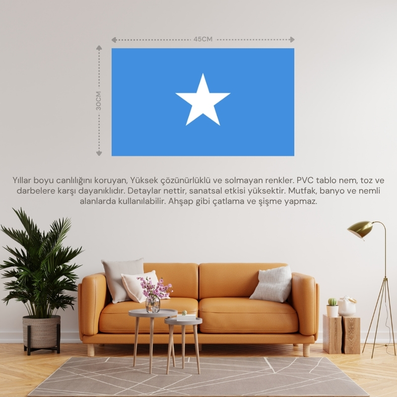 SOMALİ ÜLKE BAYRAĞI 45x30CM DUVAR TABLOSU ÇERÇEVESİZ PVC TABLO