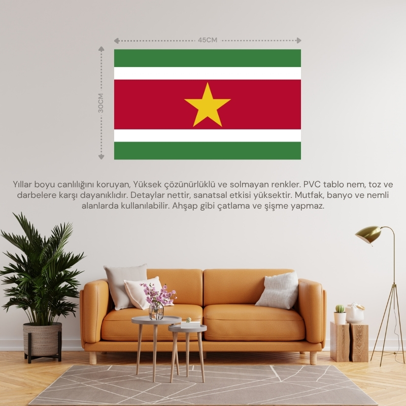 SURİNAM ÜLKE BAYRAĞI 45x30CM DUVAR TABLOSU ÇERÇEVESİZ PVC TABLO SURİNAM ÜLKE BAYRAĞI 45x30CM DUVAR TABLOSU ÇERÇEVESİZ PVC TABLO
