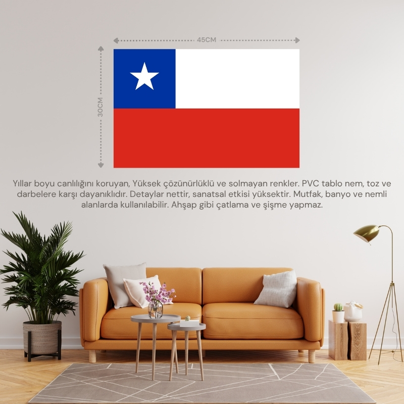 ŞİLİ ÜLKE BAYRAĞI 45x30CM DUVAR TABLOSU ÇERÇEVESİZ PVC TABLO ŞİLİ ÜLKE BAYRAĞI 45x30CM DUVAR TABLOSU ÇERÇEVESİZ PVC TABLO