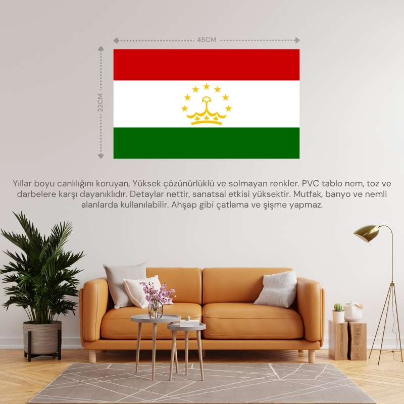 TACİKİSTAN ÜLKE BAYRAĞI 45x22CM DUVAR TABLOSU ÇERÇEVESİZ PVC TABLO