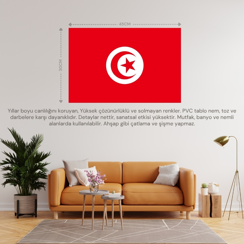 TUNUS ÜLKE BAYRAĞI 45x30CM DUVAR TABLOSU ÇERÇEVESİZ PVC TABLO