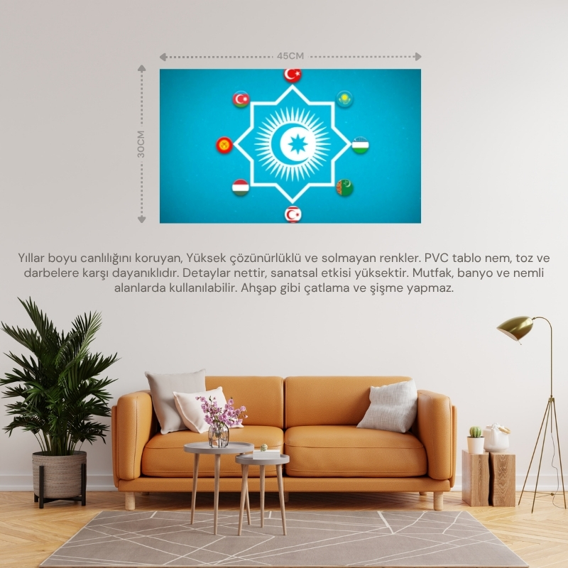 TÜRK DEVLETLERİ TEŞKİLATI BAYRAĞI 45x30CM DUVAR TABLOSU ÇERÇEVESİZ PVC TABLO
