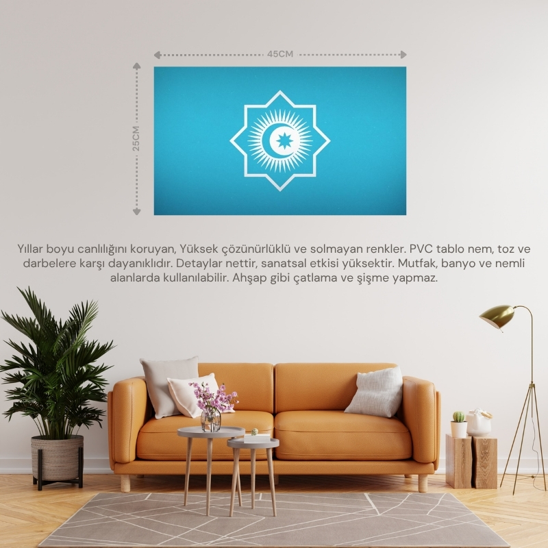 TÜRK DEVLETLERİ BAYRAĞI 45x25CM DUVAR TABLOSU ÇERÇEVESİZ PVC TABLO