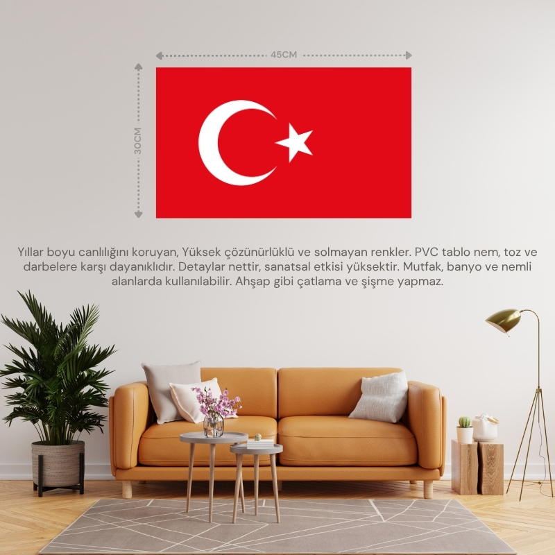 TÜRKİYE ÜLKE BAYRAĞI 45x30CM DUVAR TABLOSU ÇERÇEVESİZ PVC TABLO