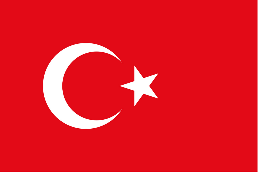 TÜRKİYE ÜLKE BAYRAĞI 45x30CM DUVAR TABLOSU ÇERÇEVESİZ PVC TABLO