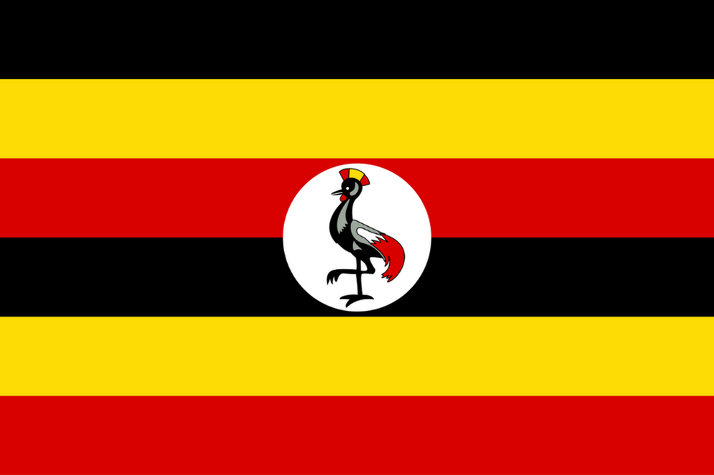 UGANDA ÜLKE BAYRAĞI 45x30CM DUVAR TABLOSU ÇERÇEVESİZ PVC TABLO